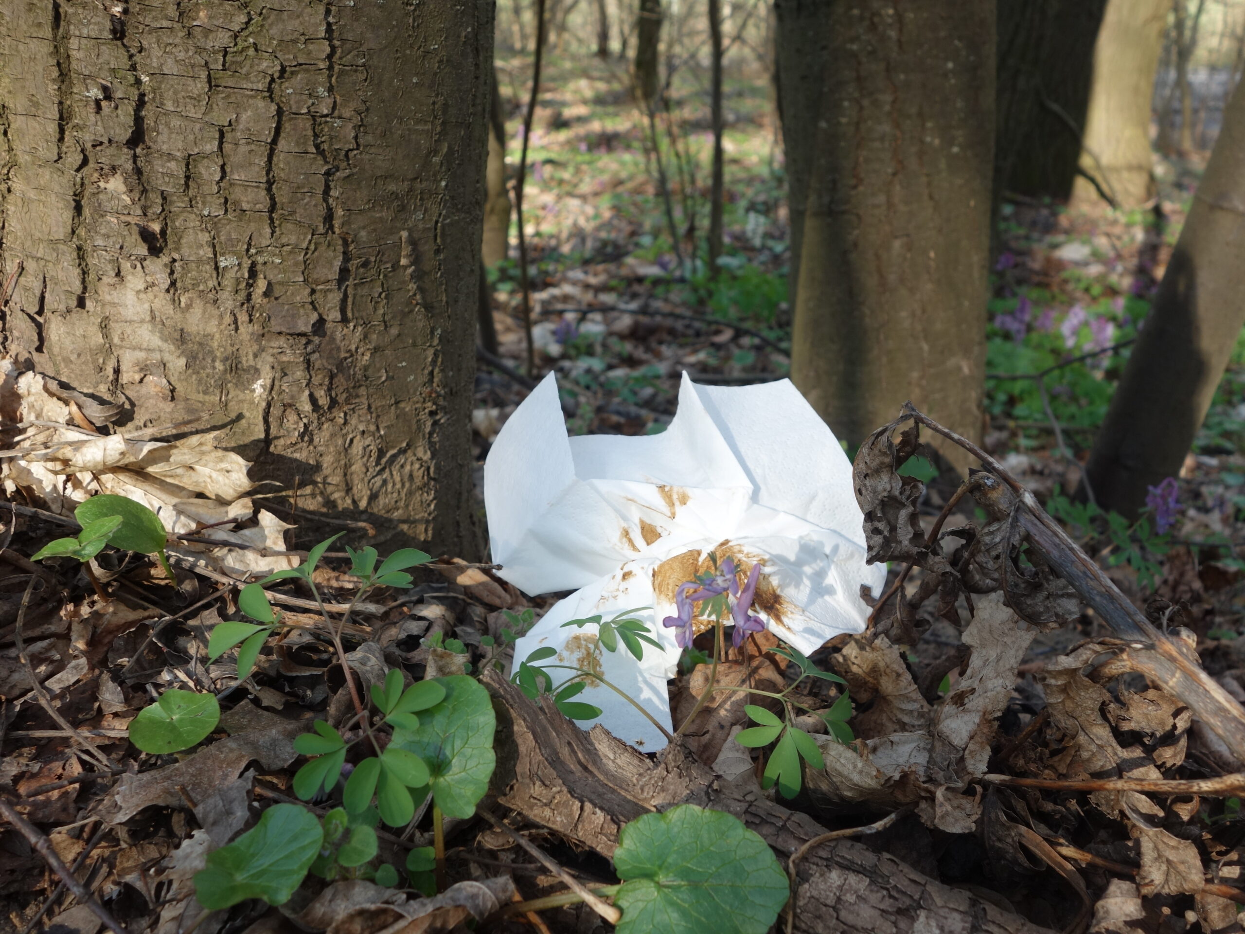 Hogyan is csináljuk a természetben?